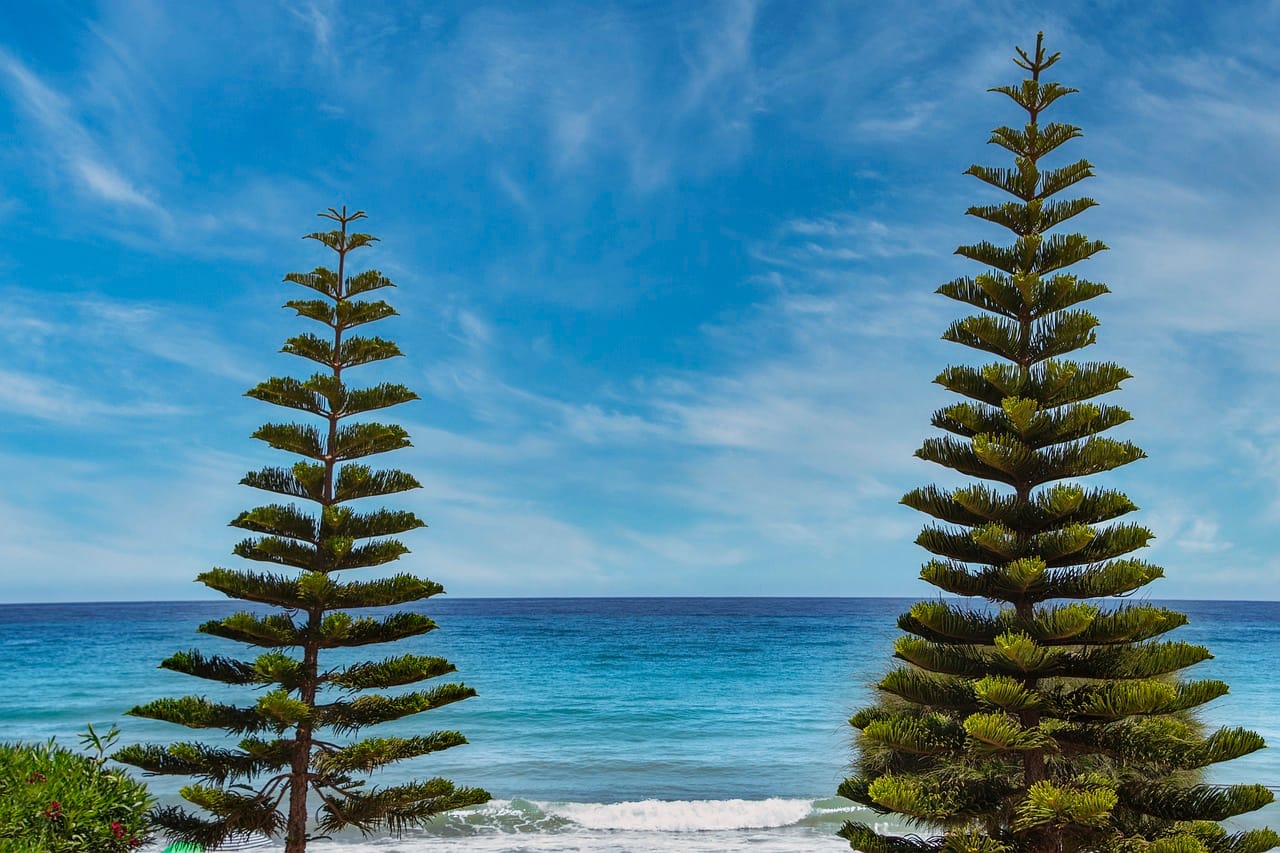 Liczba turystów zagranicznych vs. krajowych