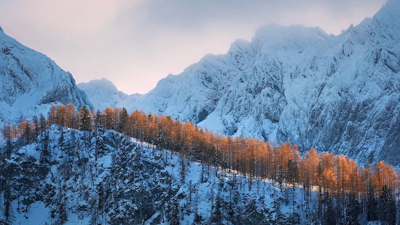 Czy można mieszkać off-grid w Polsce?