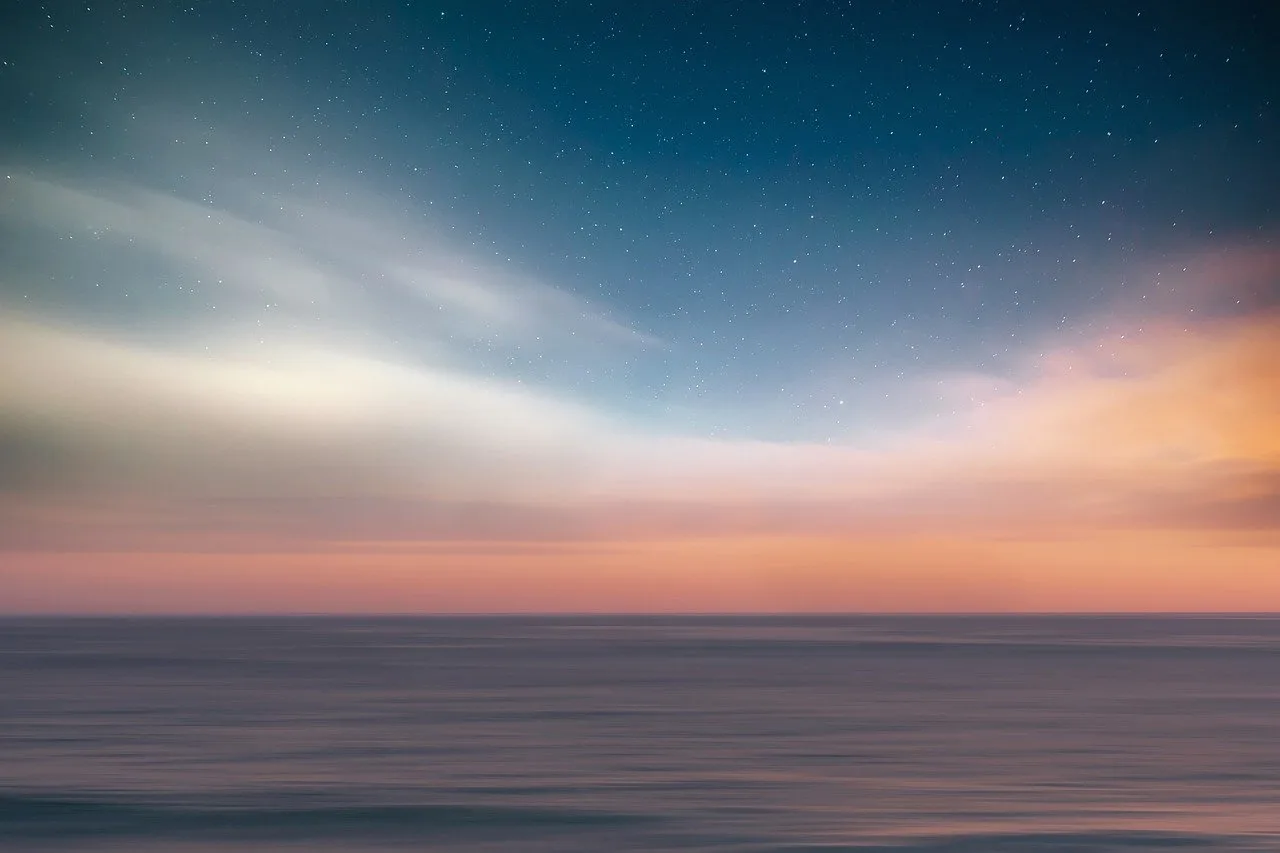 Letnie wydarzenia muzealne – sztuka pod chmurką