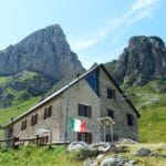 Polska bez bociana? Co grozi naszym ptakom?