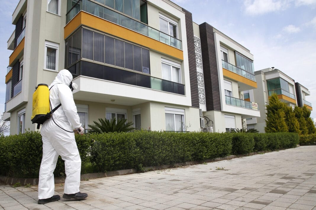 Jak rozpoznać skalę problemu z insektami, zanim sytuacja wymknie się spod kontroli?