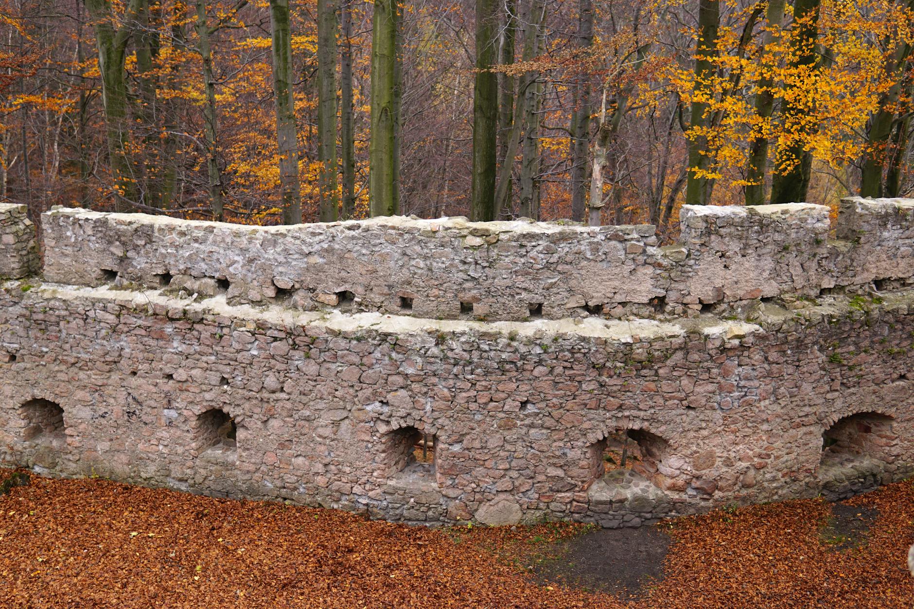 Ruiny kamiennego zamku wśród jesiennych drzew i liści