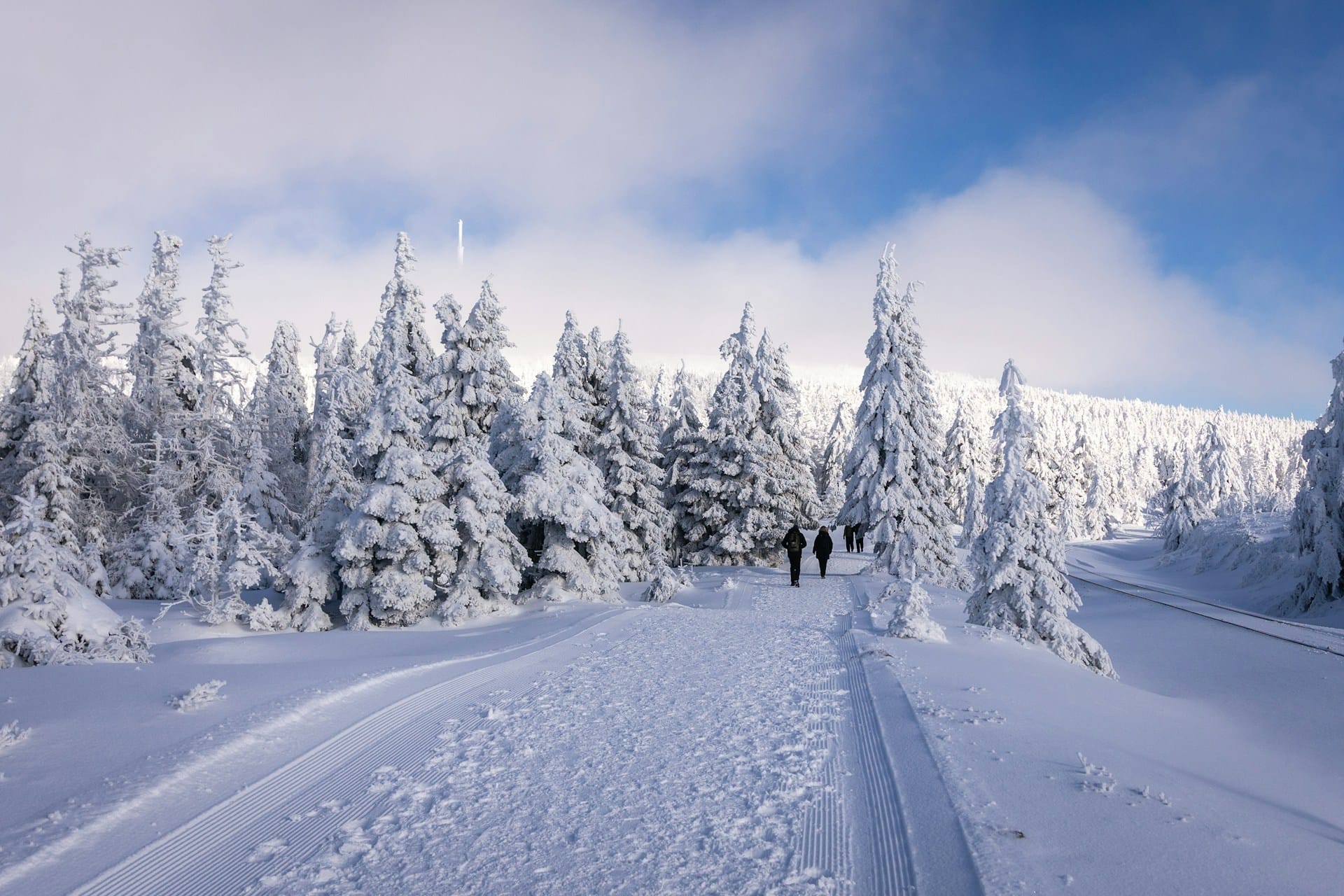 Dlaczego warto wybrać ferie zimowe w górach z wyżywieniem? Praktyczny poradnik dla rodzin