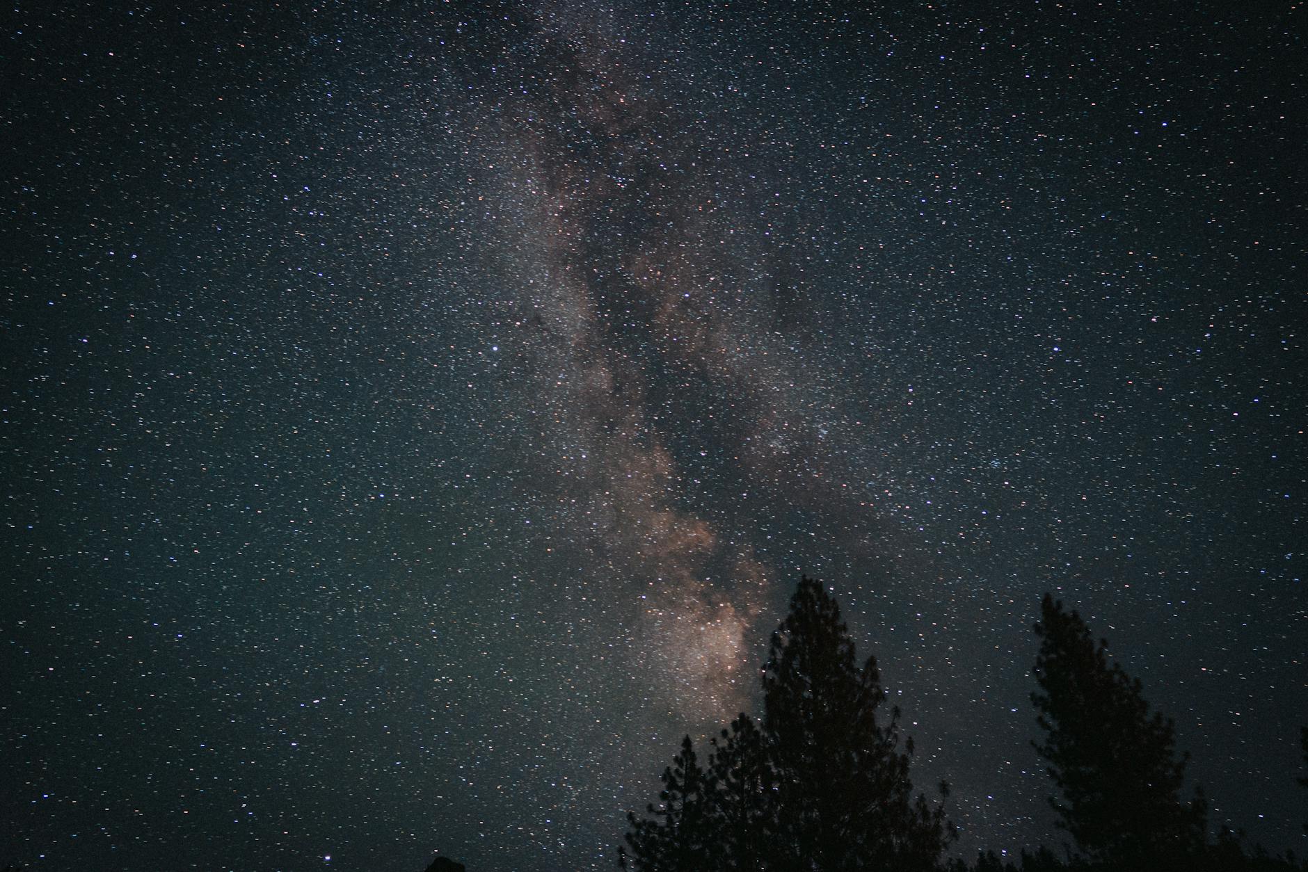 Droga Mleczna nad nocnym niebem nad drzewami w parku narodowym