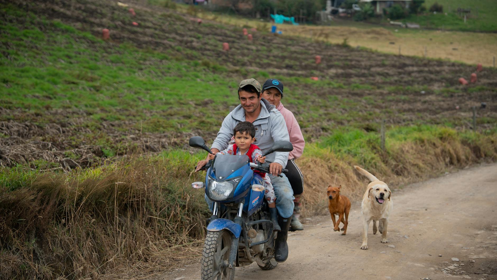 Rodzina na motocyklu z psami jadąca wiejską drogą w Małopolsce