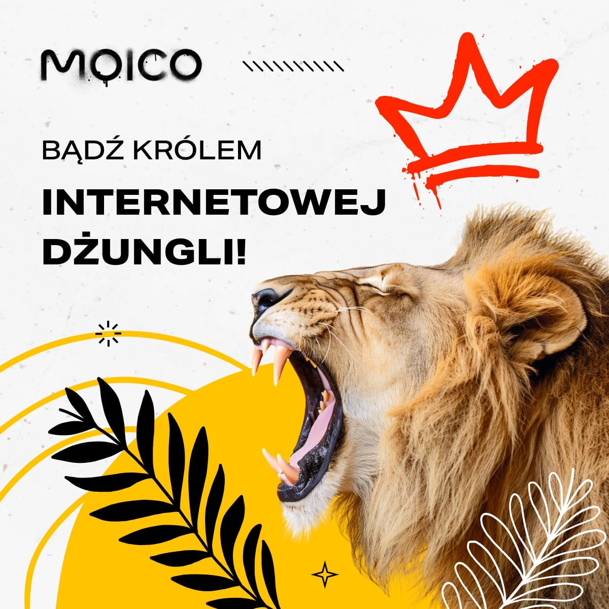 Internet światłowodowy w praktyce — jak wpływa na codzienne funkcjonowanie