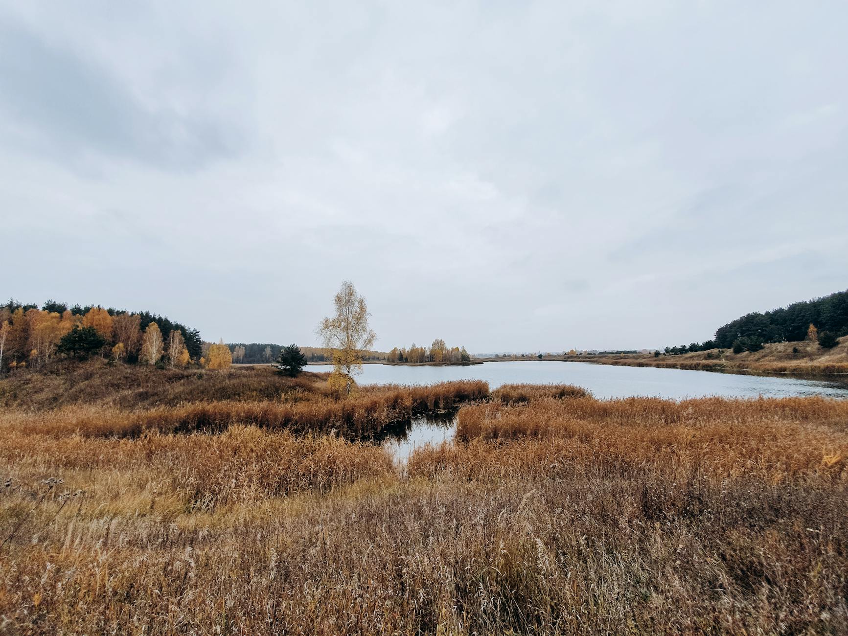 Jesienne jezioro otoczone polami i drzewami pod pochmurnym niebem