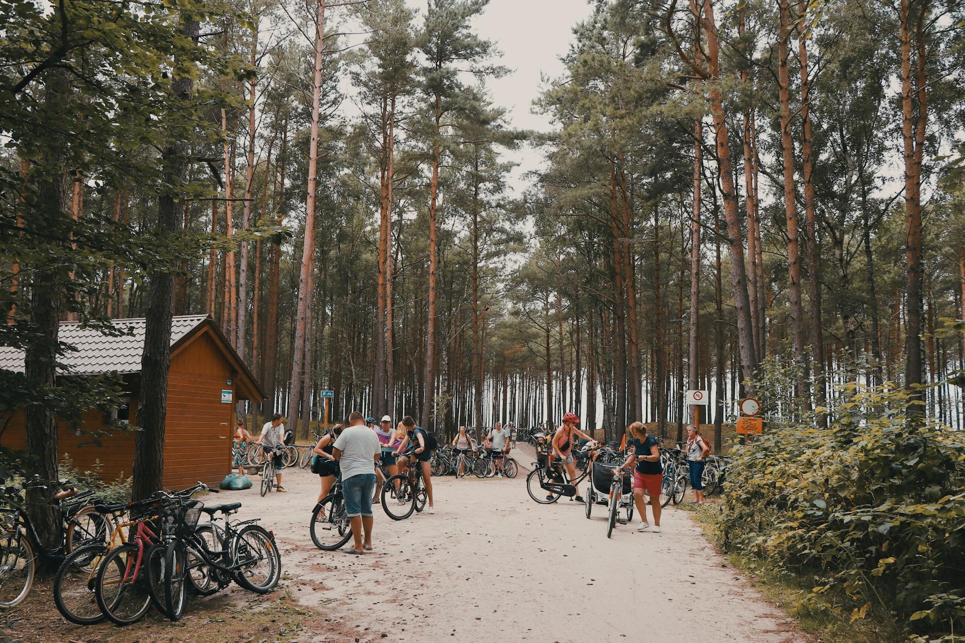 Grupa rowerzystów odpoczywa w lesie na trasie Kaszubskiej Marszruty