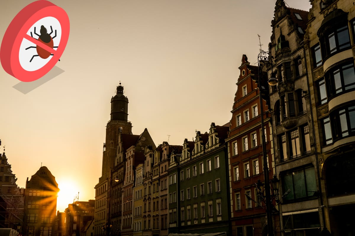Wroclaw-po-raz-kolejny-w-czolowce-miast-opanowanych-przez-pluskwy.-Sprawdz-jak-poradzic-sobie-z-niechcianymi-insektami Wrocław po raz kolejny w czołówce miast opanowanych przez pluskwy. Sprawdź, jak poradzić sobie z niechcianymi insektami