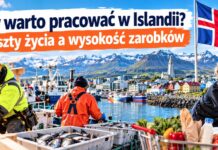 Czy warto pracować w Islandii? Koszty życia a wysokość zarobków