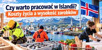 Czy warto pracować w Islandii? Koszty życia a wysokość zarobków
