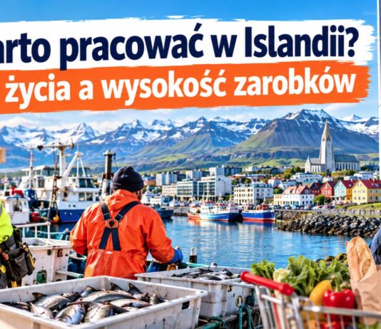 Czy warto pracować w Islandii? Koszty życia a wysokość zarobków