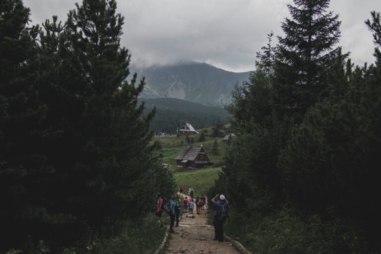 Turyści na górskim szlaku w Zakopanem wśród zielonych drzew